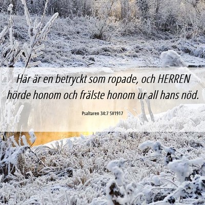 Picture 06 - Psaltaren 34:7 SV1917 - Här är en betryckt som ropade, och HERREN - Bible Verse Picture
