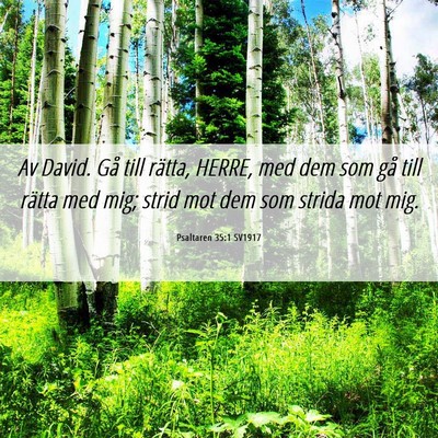 Picture 06 - Psaltaren 35:1 SV1917 - Av David. Gå till rätta, HERRE, med dem som gå - Bible Verse Picture