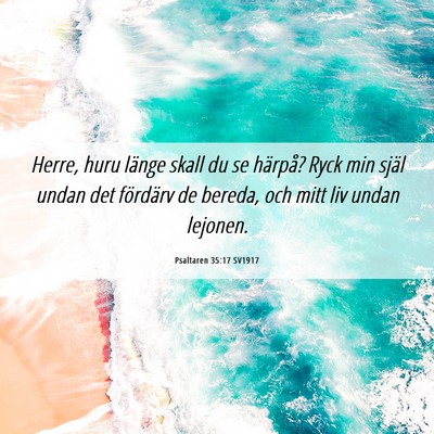 Picture 06 - Psaltaren 35:17 SV1917 - Herre, huru länge skall du se härpå? Ryck min - Bible Verse Picture