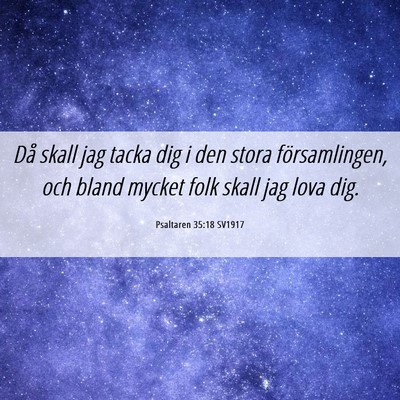 Picture 06 - Psaltaren 35:18 SV1917 - Då skall jag tacka dig i den stora - Bible Verse Picture