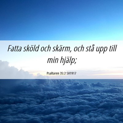 Picture 06 - Psaltaren 35:2 SV1917 - Fatta sköld och skärm, och stå upp till min - Bible Verse Picture
