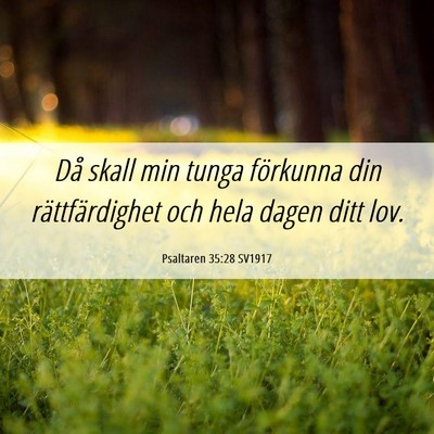 Picture 06 - Psaltaren 35:28 SV1917 - Då skall min tunga förkunna din rättfärdighet - Bible Verse Picture