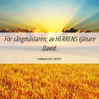 Picture 06 - Psaltaren 36:1 SV1917 - För sångmästaren; av HERRENS tjänare - Bible Verse Picture