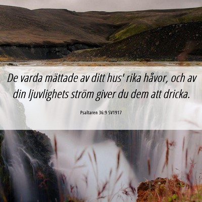 Picture 06 - Psaltaren 36:9 SV1917 - De varda mättade av ditt hus' rika håvor, och - Bible Verse Picture