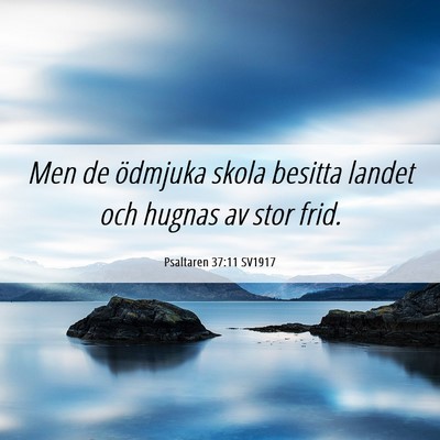 Picture 06 - Psaltaren 37:11 SV1917 - Men de ödmjuka skola besitta landet och hugnas - Bible Verse Picture