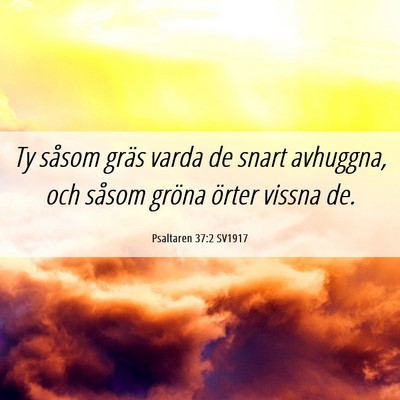 Picture 06 - Psaltaren 37:2 SV1917 - Ty såsom gräs varda de snart avhuggna, och - Bible Verse Picture