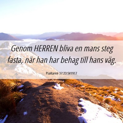 Picture 06 - Psaltaren 37:23 SV1917 - Genom HERREN bliva en mans steg fasta, när han - Bible Verse Picture