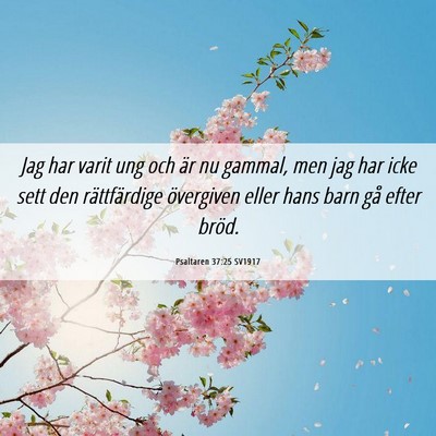 Picture 06 - Psaltaren 37:25 SV1917 - Jag har varit ung och är nu gammal, men jag har - Bible Verse Picture