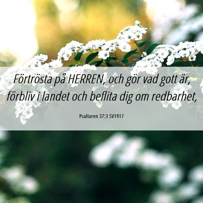Picture 06 - Psaltaren 37:3 SV1917 - Förtrösta på HERREN, och gör vad gott är, - Bible Verse Picture