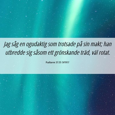 Picture 06 - Psaltaren 37:35 SV1917 - Jag såg en ogudaktig som trotsade på sin makt; - Bible Verse Picture