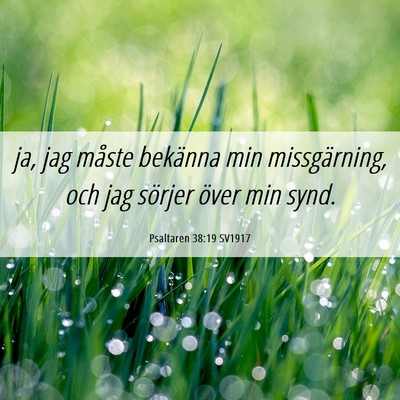 Picture 06 - Psaltaren 38:19 SV1917 - ja, jag måste bekänna min missgärning, och jag - Bible Verse Picture