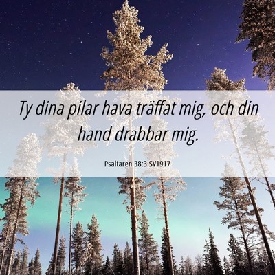 Picture 06 - Psaltaren 38:3 SV1917 - Ty dina pilar hava träffat mig, och din hand - Bible Verse Picture