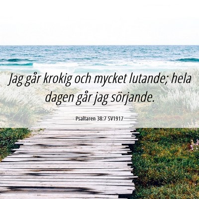 Picture 06 - Psaltaren 38:7 SV1917 - Jag går krokig och mycket lutande; hela dagen - Bible Verse Picture