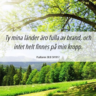 Picture 06 - Psaltaren 38:8 SV1917 - Ty mina länder äro fulla av brand, och intet - Bible Verse Picture