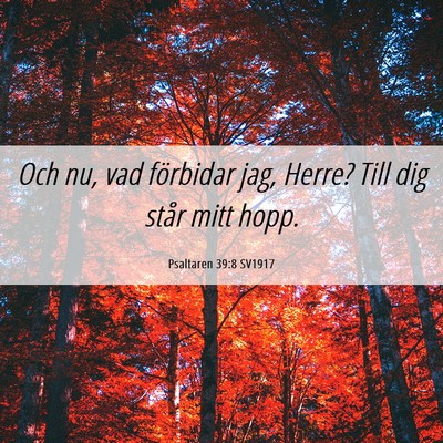 Picture 06 - Psaltaren 39:8 SV1917 - Och nu, vad förbidar jag, Herre? Till dig står - Bible Verse Picture