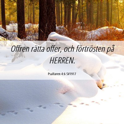Picture 06 - Psaltaren 4:6 SV1917 - Offren rätta offer, och förtrösten på - Bible Verse Picture