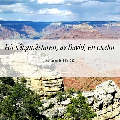 Picture 06 - Psaltaren 40:1 SV1917 - För sångmästaren; av David; en - Bible Verse Picture