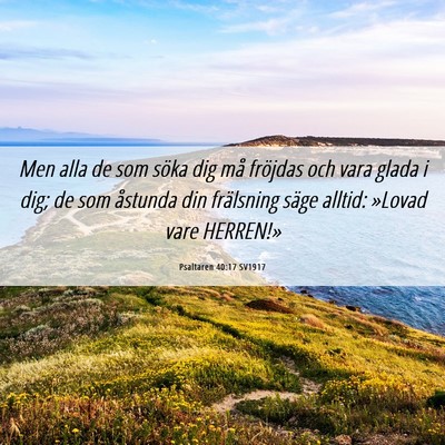 Picture 06 - Psaltaren 40:17 SV1917 - Men alla de som söka dig må fröjdas och vara - Bible Verse Picture