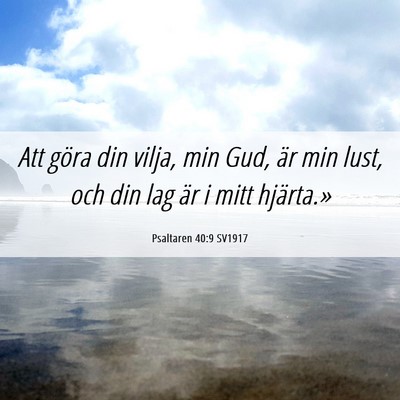 Picture 06 - Psaltaren 40:9 SV1917 - Att göra din vilja, min Gud, är min lust, och - Bible Verse Picture