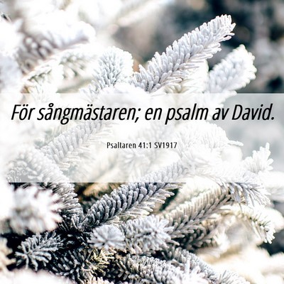 Picture 06 - Psaltaren 41:1 SV1917 - För sångmästaren; en psalm av - Bible Verse Picture