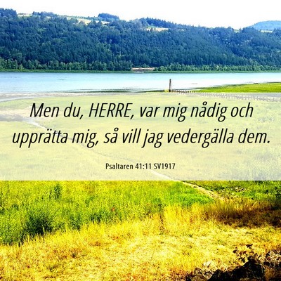 Picture 06 - Psaltaren 41:11 SV1917 - Men du, HERRE, var mig nådig och upprätta mig, - Bible Verse Picture