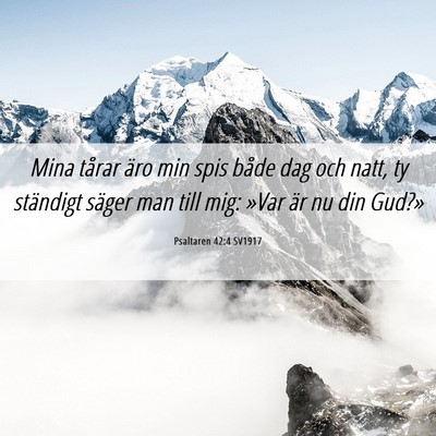 Picture 06 - Psaltaren 42:4 SV1917 - Mina tårar äro min spis både dag och natt, ty - Bible Verse Picture