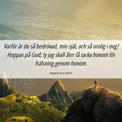 Picture 06 - Psaltaren 42:6 SV1917 - Varför är du så bedrövad, min själ, och så - Bible Verse Picture
