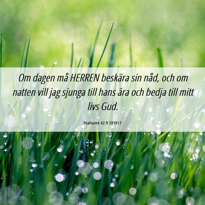 Picture 06 - Psaltaren 42:9 SV1917 - Om dagen må HERREN beskära sin nåd, och om - Bible Verse Picture
