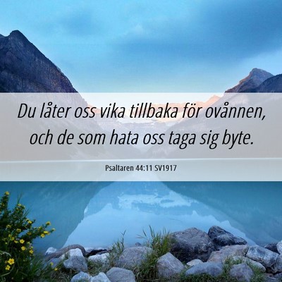 Picture 06 - Psaltaren 44:11 SV1917 - Du låter oss vika tillbaka för ovånnen, och de - Bible Verse Picture