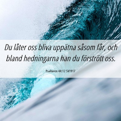 Picture 06 - Psaltaren 44:12 SV1917 - Du låter oss bliva uppätna såsom får, och - Bible Verse Picture