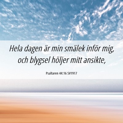 Picture 06 - Psaltaren 44:16 SV1917 - Hela dagen är min smälek inför mig, och - Bible Verse Picture