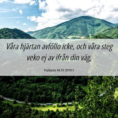 Picture 06 - Psaltaren 44:19 SV1917 - Våra hjärtan avföllo icke, och våra steg veko - Bible Verse Picture