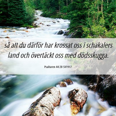 Picture 06 - Psaltaren 44:20 SV1917 - så att du därför har krossat oss i schakalers - Bible Verse Picture
