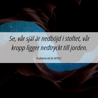 Picture 06 - Psaltaren 44:26 SV1917 - Se, vår själ är nedböjd i stoftet, vår kropp - Bible Verse Picture