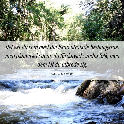 Picture 06 - Psaltaren 44:3 SV1917 - Det var du som med din hand utrotade hedningarna, - Bible Verse Picture