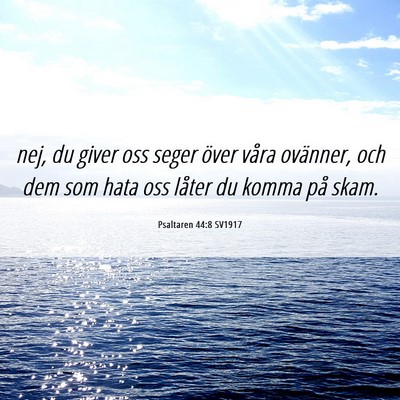 Picture 06 - Psaltaren 44:8 SV1917 - nej, du giver oss seger över våra ovänner, och - Bible Verse Picture