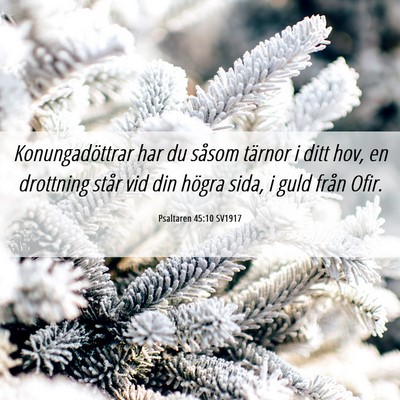 Picture 06 - Psaltaren 45:10 SV1917 - Konungadöttrar har du såsom tärnor i ditt hov, - Bible Verse Picture