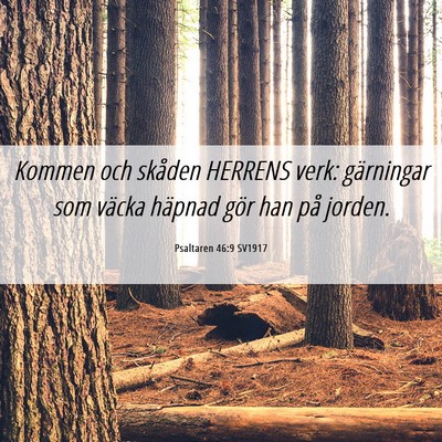 Picture 06 - Psaltaren 46:9 SV1917 - Kommen och skåden HERRENS verk: gärningar som - Bible Verse Picture