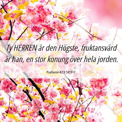 Picture 06 - Psaltaren 47:3 SV1917 - Ty HERREN är den Högste, fruktansvärd är han, - Bible Verse Picture