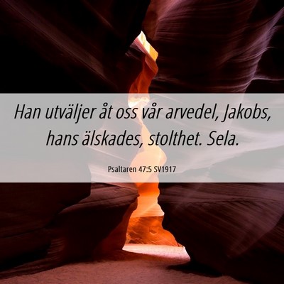 Picture 06 - Psaltaren 47:5 SV1917 - Han utväljer åt oss vår arvedel, Jakobs, hans - Bible Verse Picture