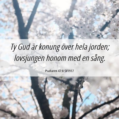 Picture 06 - Psaltaren 47:8 SV1917 - Ty Gud är konung över hela jorden; lovsjungen - Bible Verse Picture