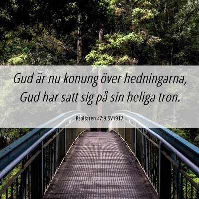 Picture 06 - Psaltaren 47:9 SV1917 - Gud är nu konung över hedningarna, Gud har satt - Bible Verse Picture