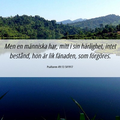 Picture 06 - Psaltaren 49:13 SV1917 - Men en människa har, mitt i sin härlighet, - Bible Verse Picture