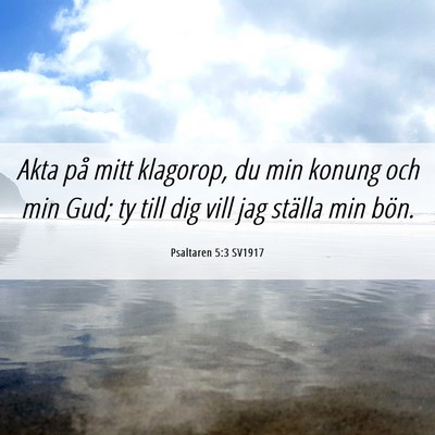 Picture 06 - Psaltaren 5:3 SV1917 - Akta på mitt klagorop, du min konung och min - Bible Verse Picture