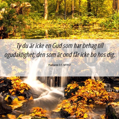 Picture 06 - Psaltaren 5:5 SV1917 - Ty du är icke en Gud som har behag till - Bible Verse Picture