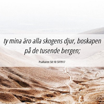 Picture 06 - Psaltaren 50:10 SV1917 - ty mina äro alla skogens djur, boskapen på de - Bible Verse Picture