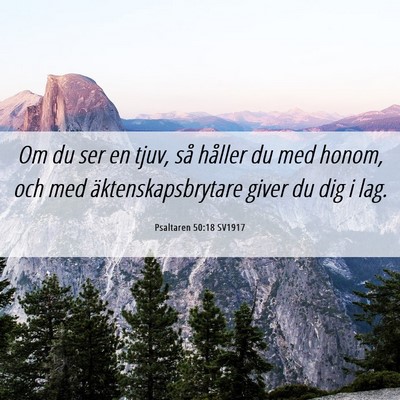 Picture 06 - Psaltaren 50:18 SV1917 - Om du ser en tjuv, så håller du med honom, och - Bible Verse Picture
