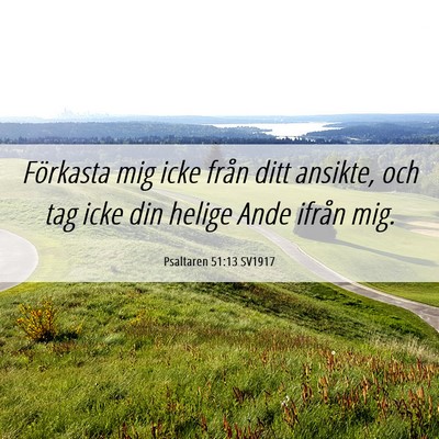 Picture 06 - Psaltaren 51:13 SV1917 - Förkasta mig icke från ditt ansikte, och tag - Bible Verse Picture