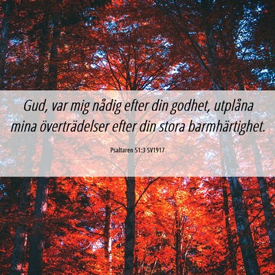 Picture 06 - Psaltaren 51:3 SV1917 - Gud, var mig nådig efter din godhet, utplåna - Bible Verse Picture