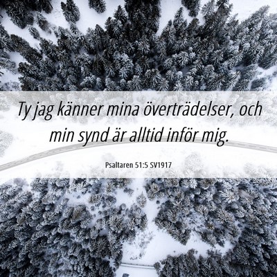 Picture 06 - Psaltaren 51:5 SV1917 - Ty jag känner mina överträdelser, och min synd - Bible Verse Picture